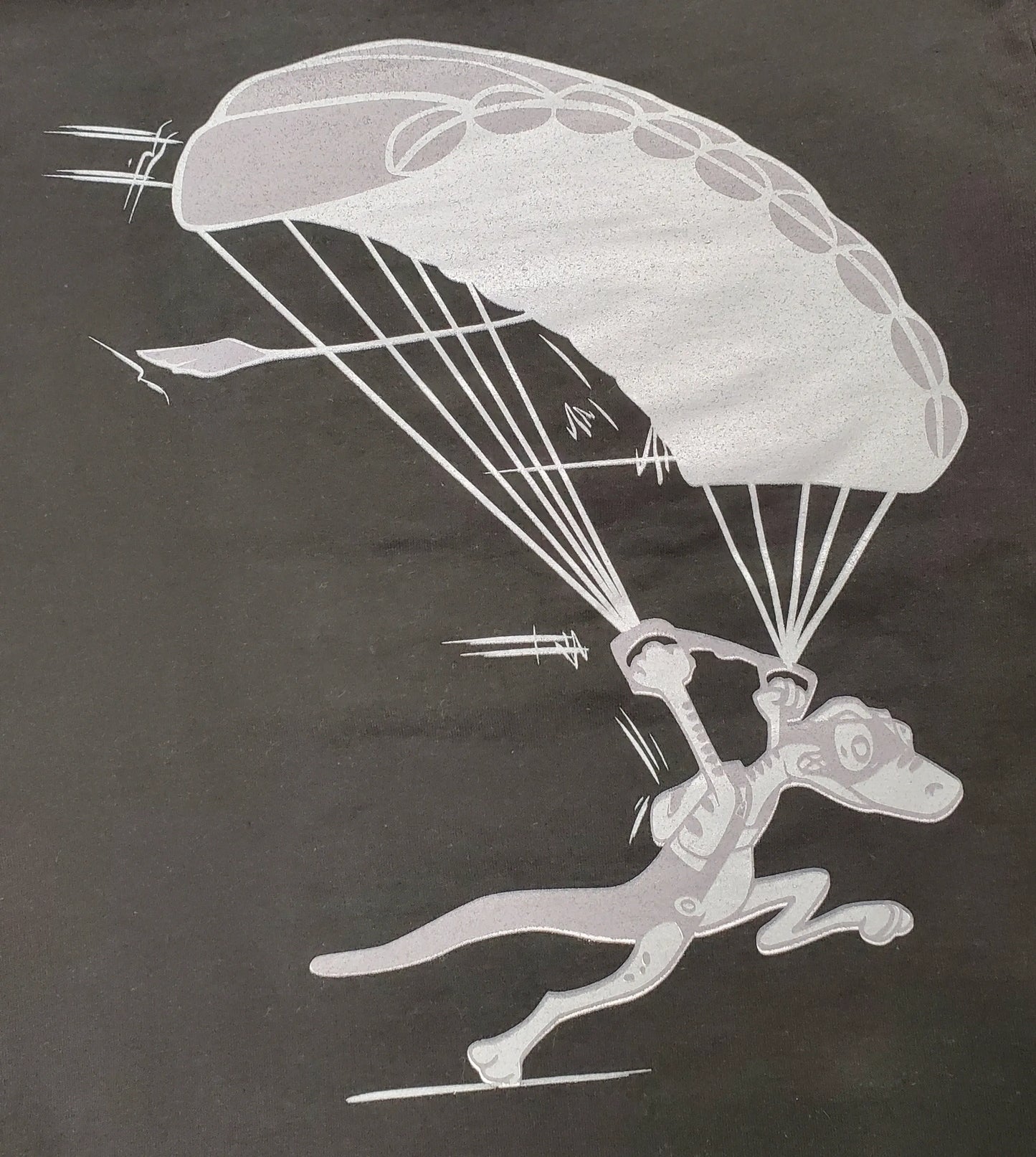 Start Skydiving Hoodie